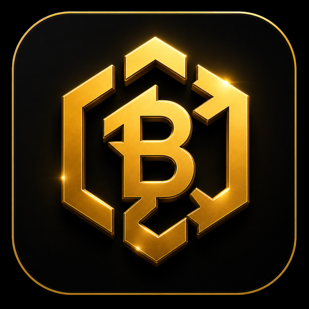 Barakah Chain app icon